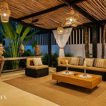 Semilla Oasis Tropical By Waves