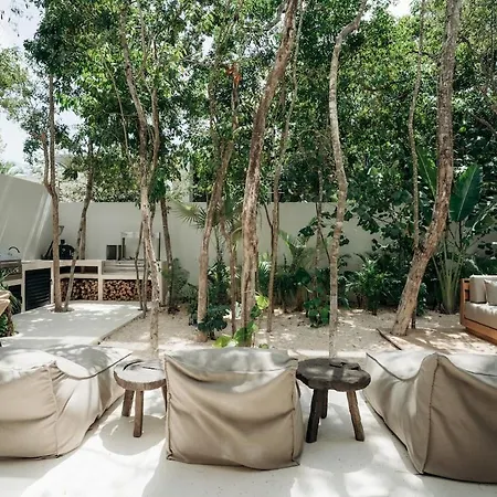 Aion Amazing 5 Bdr 3 Pools And Roof Tulum