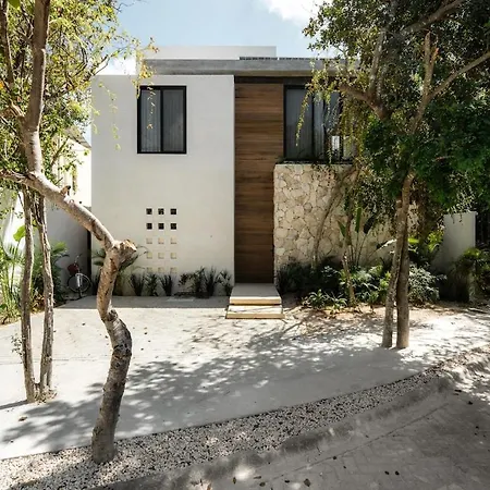 Aion Amazing 5 Bdr 3 Pools And Roof * Tulum
