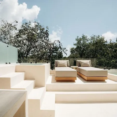 Aion Amazing 5 Bdr 3 Pools And Roof Villa Tulum
