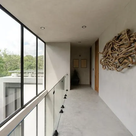 Aion Amazing 5 Bdr 3 Pools And Roof Tulum