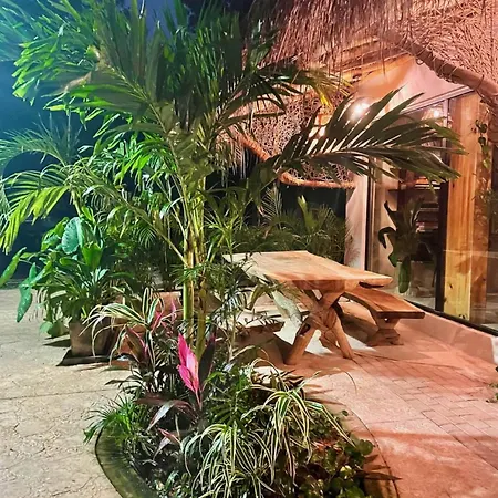 Holiday home Luxury Oasis! 2 Poolsprivate & Swimupfree Extras Tulum