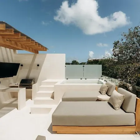 Aion Amazing 5 Bdr 3 Pools And Roof Villa Tulum