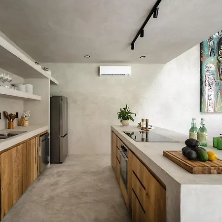 Aion Amazing 5 Bdr 3 Pools And Roof Villa Tulum