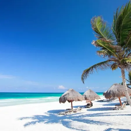Holiday home Luxury Oasis! 2 Poolsprivate & Swimupfree Extras Tulum