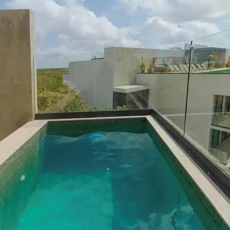 Apartment Ph Tu Alberca, Tu Roof *