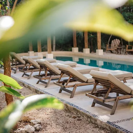 Apartment Luxury Penthouse In Tulum, Private Rooftop Jacuzzi Tulum
