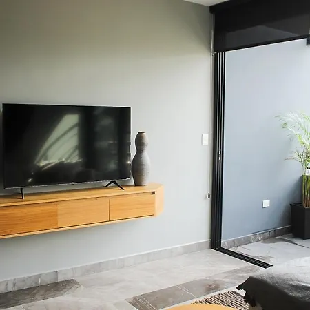 2 Bed Penthouse Private Rooftop Tulum