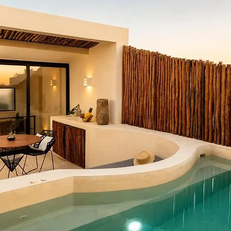 Beautiful Penthouse With Private Rooftop Pool Apartment