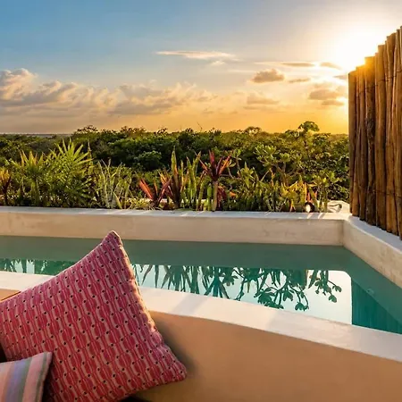 Penthouse With Private Rooftop Pool & Terrace Apartment *