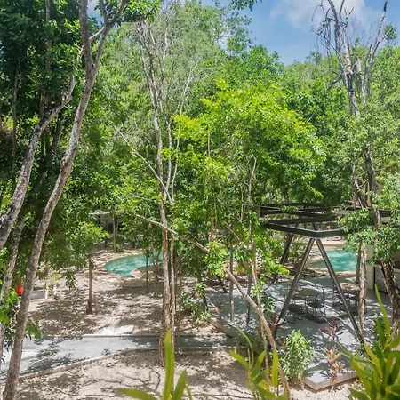 Tullum Bee Tulum