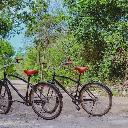 Apartment Chic Jungle Balcony Priv Pool Steam & Gym