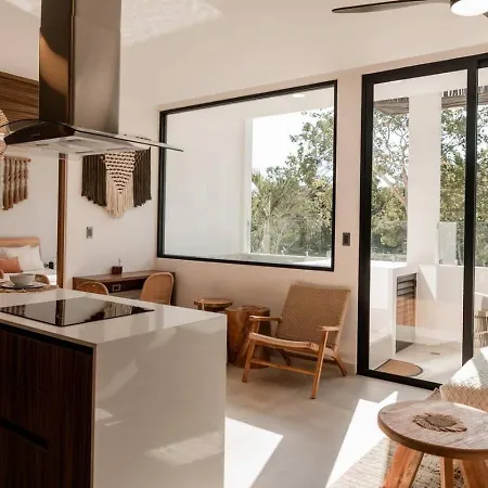 With Private Plunge Pool And Rooftop Tulum