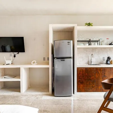 Apartment Penthouse With Private Pool 10 Min To *
