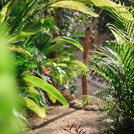 Luxury Penthouse In Tulum, Private Rooftop Jacuzzi * Tulum