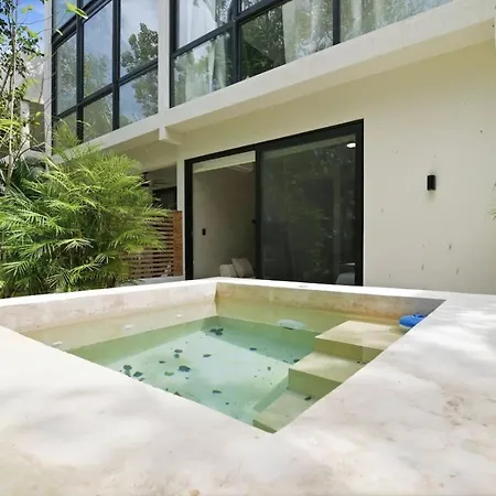 Elegant King | Private Plunge Pool *