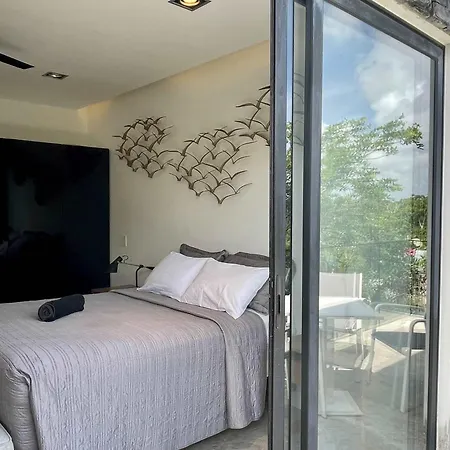 Black House - Modern 3br With Private Pool Apartment Tulum
