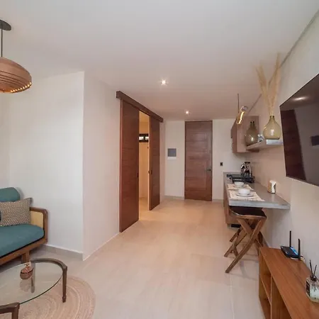Apartment Loft Con Terraza