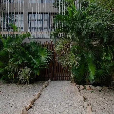 Apartment Vida 12