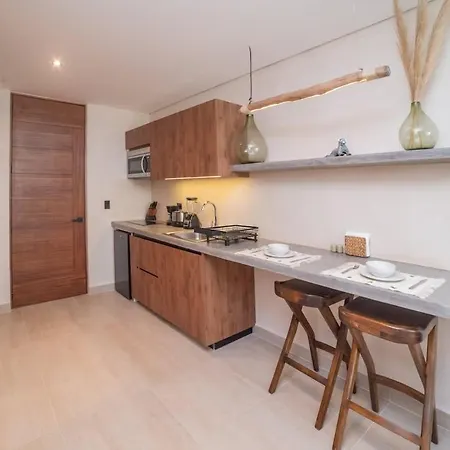 Loft Con Terraza Apartment