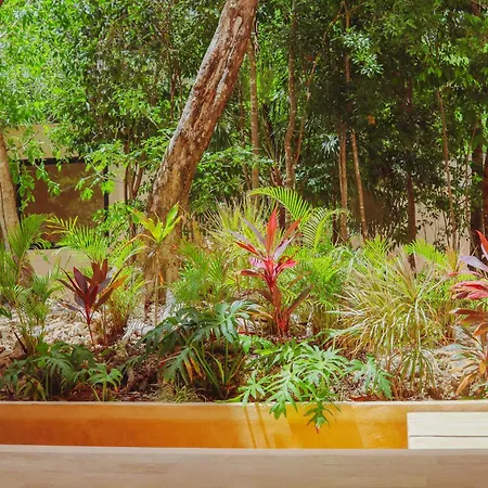 Apartment 1st Flr Chic Jungle - Priv Pool Steam & Gym