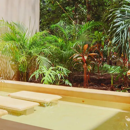 1st Flr Chic Jungle - Priv Pool Steam & Gym Tulum