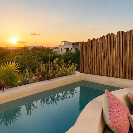 Penthouse With Private Rooftop Pool & Terrace