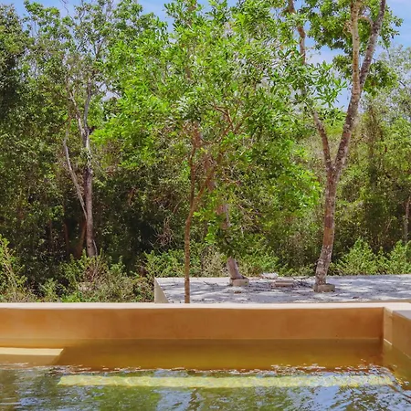 Chic Jungle Balcony Priv Pool Steam & Gym