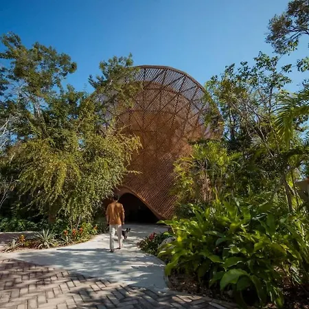 Modern Aflora Near & Cenotes Apartment *