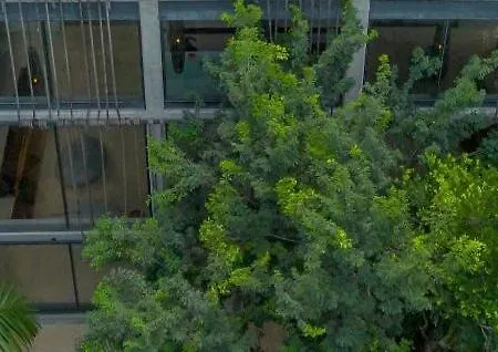 Apartment Sasil Luxury Iik