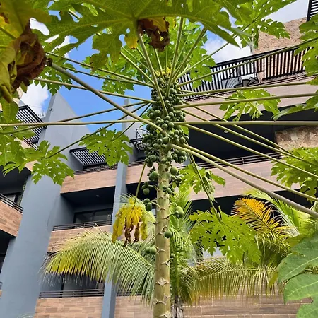 2 Bed Penthouse Private Rooftop