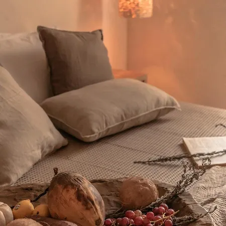 Hacienda Wabi Hidden Gem With Private Pool Tulum