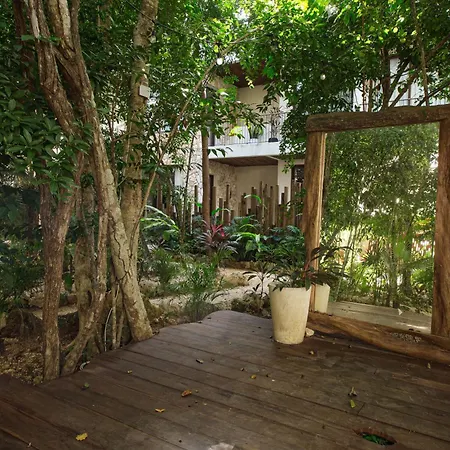 Luxury Penthouse In Tulum, Private Rooftop Jacuzzi Apartment Tulum