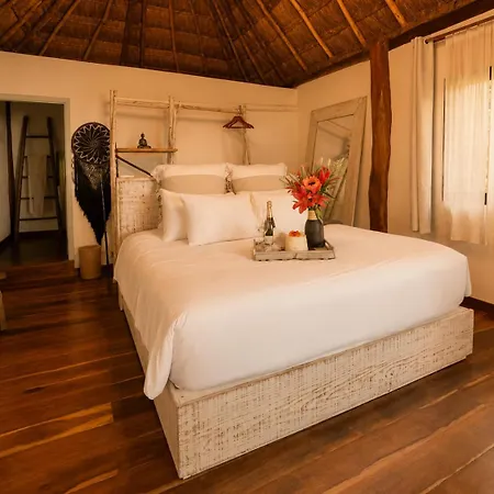 Olivia Oceanfront Hotel 5*