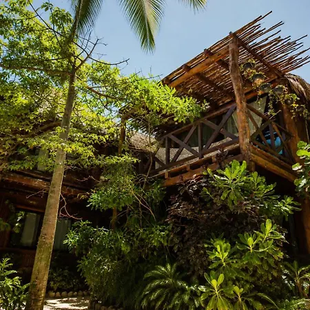 Hotel Olivia Oceanfront 5*