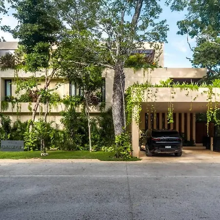 Caiman Luxury 5br In Santos Tulum