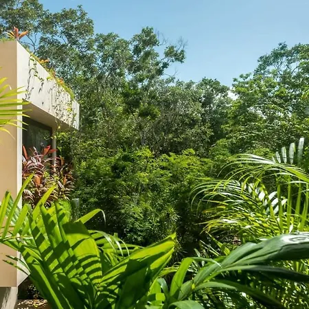 Caiman Luxury 5br In Santos Holiday home