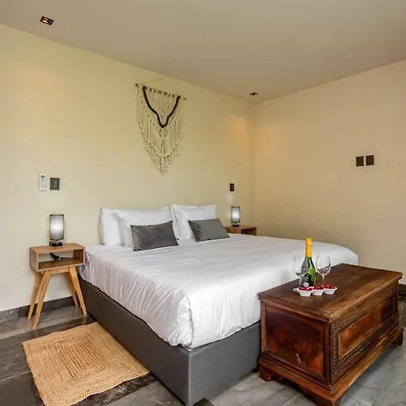 Modern 1br Jungle View Retreat In Humana With Rooftop Pool Apartment *