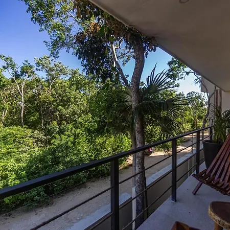 Apartment Casa Leo - Beautiful In *