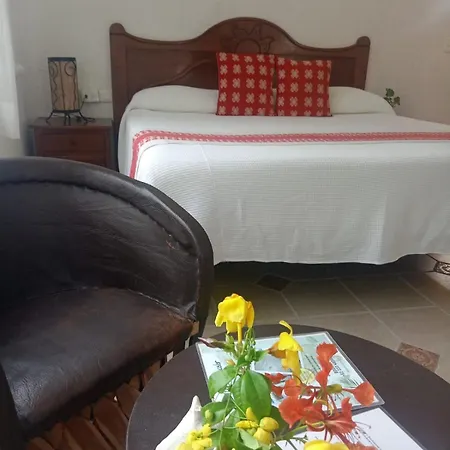 Hotel Maison 3*
