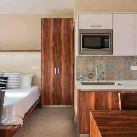 Lujoso Departamento Con Jacuzzi Privado
