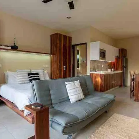 Lujoso Departamento Con Jacuzzi Privado *