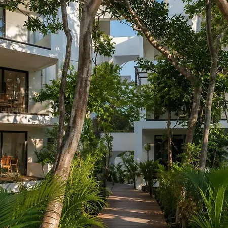 Oasis Yaaxlum