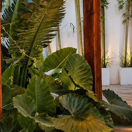 Holiday home Oasis Yaaxlum Tulum