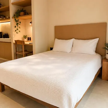 Romantic Jungle Studio, Rooftop Pool & Lounge Apartment