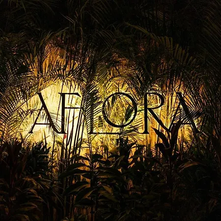 Aflora Quartz Loft Club Access Tulum