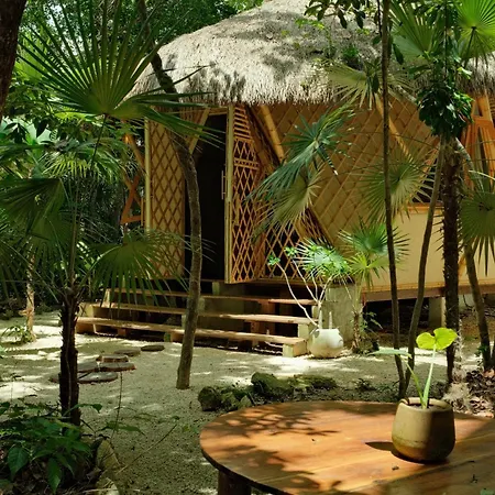 Romantic Star Bath Suite, Cave Pool & Yoga Center Tulum