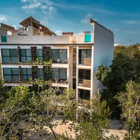 Aldea Zama -top Ph Wtih Private Pool 4pax Apartment