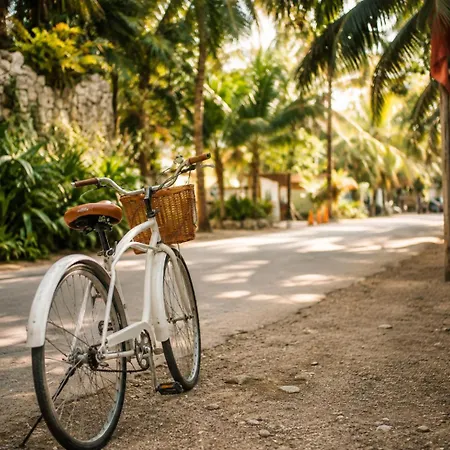 Hotel Olivia Oceanfront Tulum