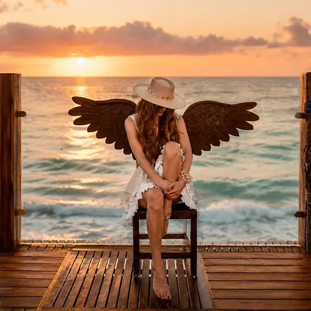Olivia Oceanfront